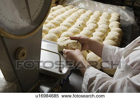Stock Photography - Baker Weighing Balls of Bread Dough. Fotosearch