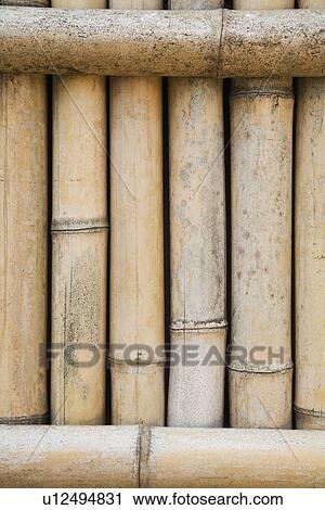Bamboo Fence in Koraku-en Park View Large Photo Image Stock Image - Bamboo Fence in Koraku-en Park. Fotosearch