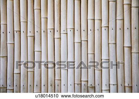 Bamboo fence View Large Photo Image Stock Image - Bamboo fence. Fotosearch