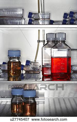 Stock Photo - Bottles and containers in laboratory fridge. Fotosearch