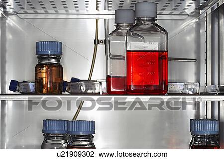 Bottles and containers on laboratory fridge shelf close up View Large Photo Image Stock Image - Bottles and containers on laboratory fridge shelf close up. Fotosearch