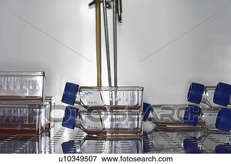 Bottles on laboratory fridge shelf close up View Large Photo Image Stock Photo - Bottles on laboratory fridge shelf close up. Fotosearch