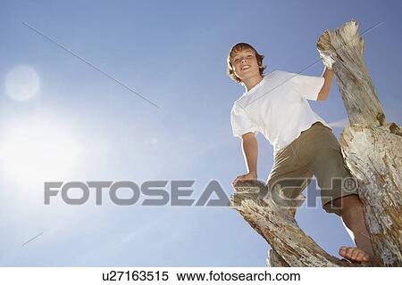 Boy (10-12) climbing on dry tree trunk view from below portrait View Large Photo Image Stock Photography - Boy (10-12) climbing on dry tree trunk view from below portrait. Fotosearch