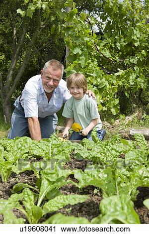 Boy gardening with grandfather portrait View Large Photo Image Stock Image - Boy gardening with grandfather portrait. Fotosearch
