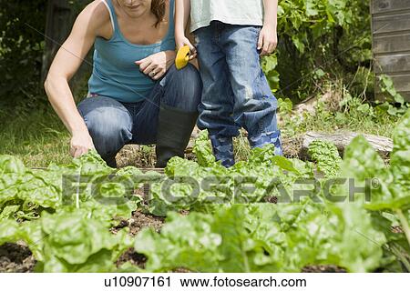 Stock Image - Boy gardening with mother low section. Fotosearch