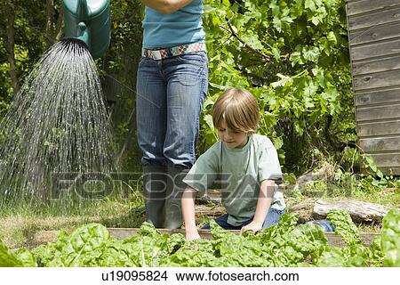 Boy gardening with mother View Large Photo Image Picture - Boy gardening with mother. Fotosearch