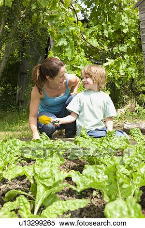 Stock Photography - Boy gardening with mother. Fotosearch