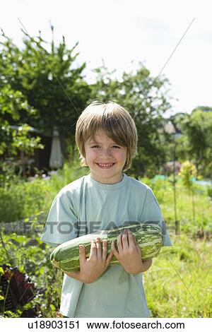 Boy holding marrow in garden portrait View Large Photo Image Stock Image - Boy holding marrow in garden portrait. Fotosearch