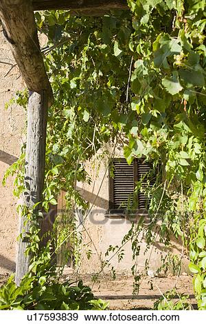 Building exterior with shutters View Large Photo Image Stock Photo - Building exterior with shutters. Fotosearch
