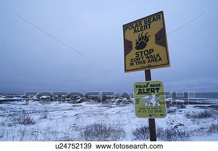Stock Photo - Canada Beach of Churchill Polar Bear information sign. Fotosearch