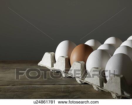 Carton of White Eggs with One Brown Egg View Large Photo Image Stock Image - Carton of White Eggs with One Brown Egg. Fotosearch