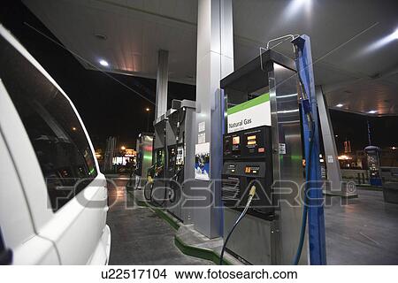 Picture - Close up of cat at gas station fuel pumps with natural gas at night. Fotosearch