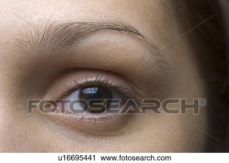 Close-up of young woman's eye View Large Photo Image Stock Image - Close-up of young woman's eye. Fotosearch