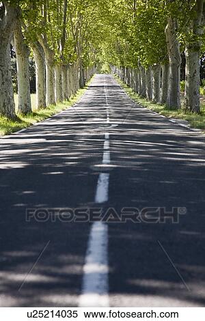Stock Photography - Country road. Fotosearch