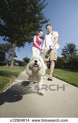 Couple walking dog along pavement View Large Photo Image Picture - Couple walking dog along pavement. Fotosearch
