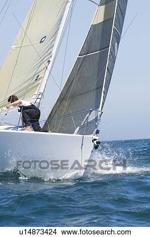 Picture - Crew member on board yacht competing in team sailing event California. Fotosearch