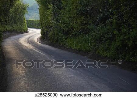 Stock Image - Curving Country Road Through Thick Forest. Fotosearch