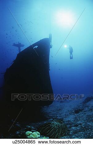 Diver exploring bow of sunken fishing trawler View Large Photo Image Stock Photography - Diver exploring bow of sunken fishing trawler. Fotosearch