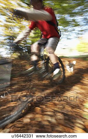 Stock Image - Dog chasing person on mountain bike through woodland motion blur. Fotosearch