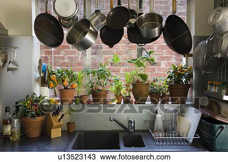 Stock Image - Domestic kitchen. Fotosearch