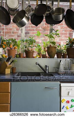 Domestic kitchen View Large Photo Image Stock Photograph - Domestic kitchen. Fotosearch