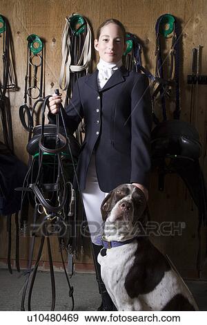 Female horseback rider portrait View Large Photo Image Stock Photo - Female horseback rider portrait. Fotosearch