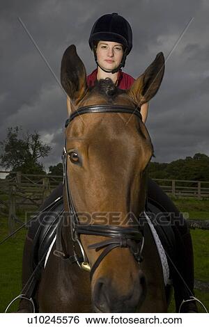 Stock Photograph - Female horseback rider sitting on brown horse portrait. Fotosearch