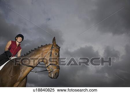 Stock Photography - Female horseback rider sitting on brown horse. Fotosearch