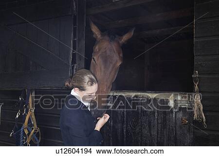 Female horseback rider with horse in stable View Large Photo Image Picture - Female horseback rider with horse in stable. Fotosearch