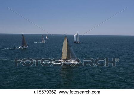 Four yachts compete in team sailing event California View Large Photo Image Stock Image - Four yachts compete in team sailing event California. Fotosearch
