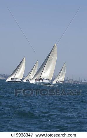 Stock Photo - Four yachts compete in team sailing event California. Fotosearch