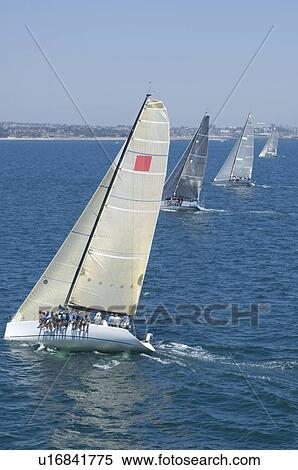 Four yachts compete in team sailing event California View Large Photo Image Stock Photography - Four yachts compete in team sailing event California. Fotosearch