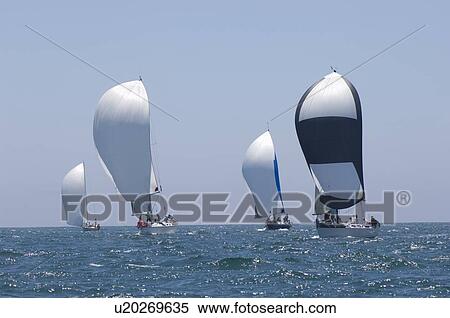 Stock Photography - Four yachts compete in team sailing event California. Fotosearch