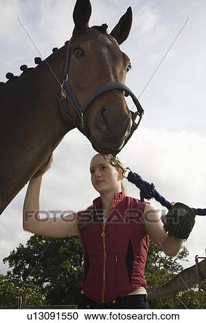 Girl grooming horse View Large Photo Image Stock Image - Girl grooming horse. Fotosearch