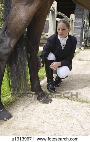 Girl grooming horse's leg outdoors View Large Photo Image Stock Image - Girl grooming horse's leg outdoors. Fotosearch
