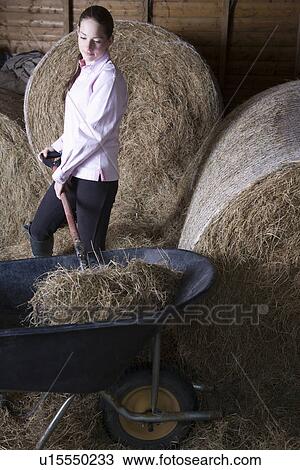 Girl shoveling hay in barn View Large Photo Image Stock Image - Girl shoveling hay in barn. Fotosearch