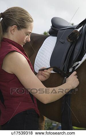 Stock Photo - Girl tightening saddle on horse. Fotosearch