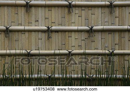 Stock Photo - Japan Himeji Himeji Koko-en Gardens split bamboo wall close-up. Fotosearch