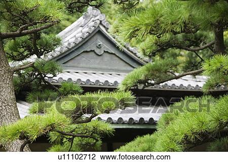 Japan Tokyo Tokyo Imperial Palace Rooftop of Otemon (East Gate) seen through trees View Large Photo Image Stock Image - Japan Tokyo Tokyo Imperial Palace Rooftop of Otemon (East Gate) seen through trees. Fotosearch
