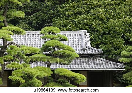 Japan Tokyo Tokyo Imperial Palace Rooftop of Otemon (East Gate) seen through trees View Large Photo Image Stock Photo - Japan Tokyo Tokyo Imperial Palace Rooftop of Otemon (East Gate) seen through trees. Fotosearch