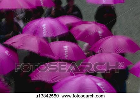 Kapan Nikko Tosho-gu Shinto shrine People under purple umbrellas elevated view View Large Photo Image Stock Image - Kapan Nikko Tosho-gu Shinto shrine People under purple umbrellas elevated view. Fotosearch