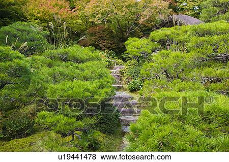 Stock Photo - Kyoto Japan Okochi Denjiro stone steps in garden. Fotosearch