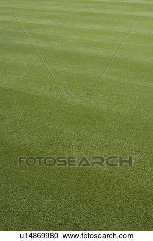 Lawn View Large Photo Image Stock Image - Lawn. Fotosearch