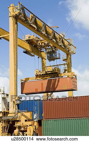 Picture - Limassol Cyprus cranes. Fotosearch
