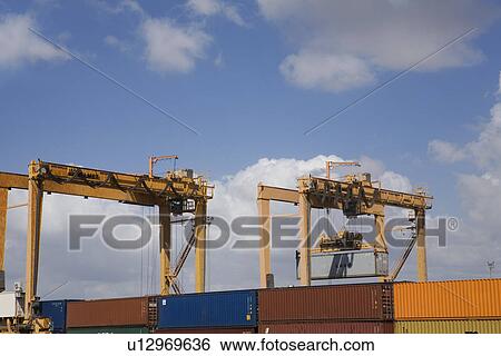Stock Photograph - Limassol Cyprus cranes. Fotosearch