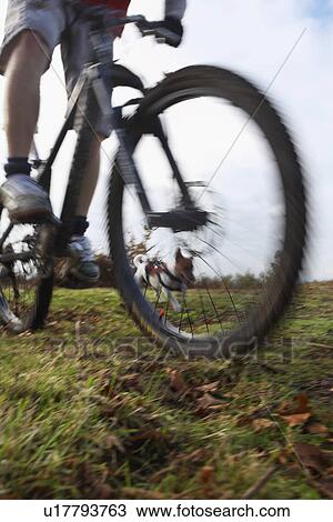 Stock Image - Man riding mountain bike with dog in countryside. Fotosearch