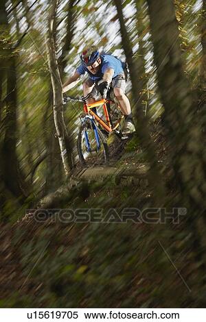 Mountain biker in woodland motion blur View Large Photo Image Stock Photography - Mountain biker in woodland motion blur. Fotosearch