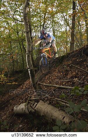 Mountain biker in woodland View Large Photo Image Stock Image - Mountain biker in woodland. Fotosearch
