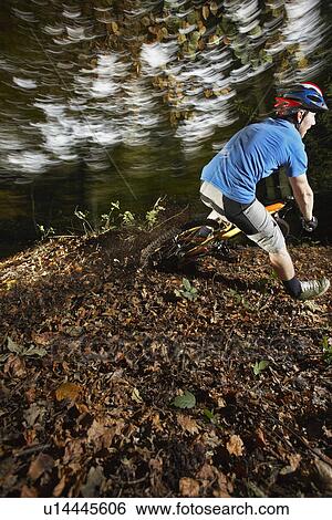 Stock Photograph - Mountain biker in woodland. Fotosearch