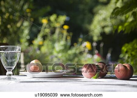 Peaches on table in garden View Large Photo Image Stock Photo - Peaches on table in garden. Fotosearch